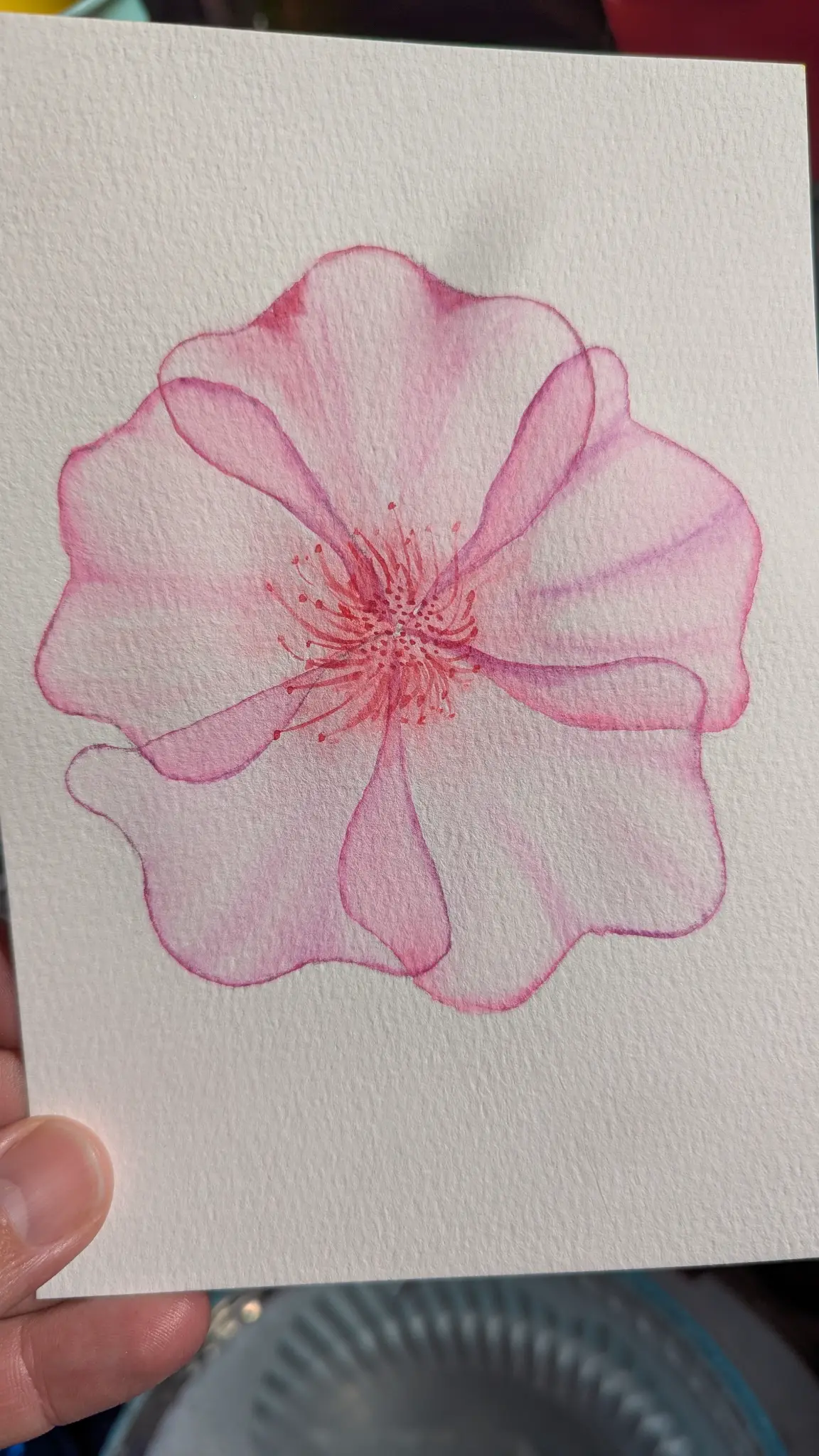 Hawaii Holly Paints — original watercolor artwork